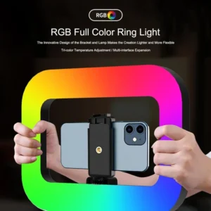 Selfie Ring Light, Handheld Ring Selfie Light Kit, USB-Powered Portable Ring Light, LED Mobile Video Stabilize for Camera, Smartphone, Video Recording